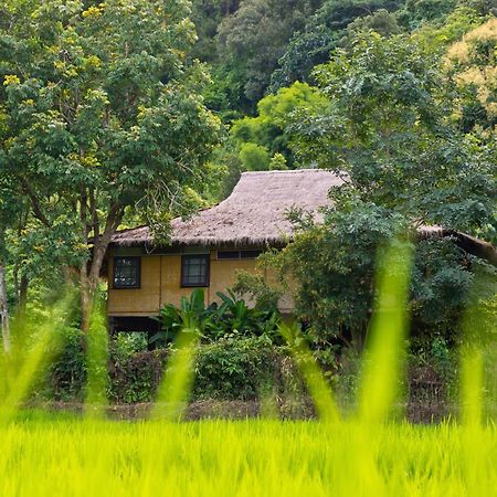 Hmong Hilltribe Lodge Mae Rim Exteriér fotografie