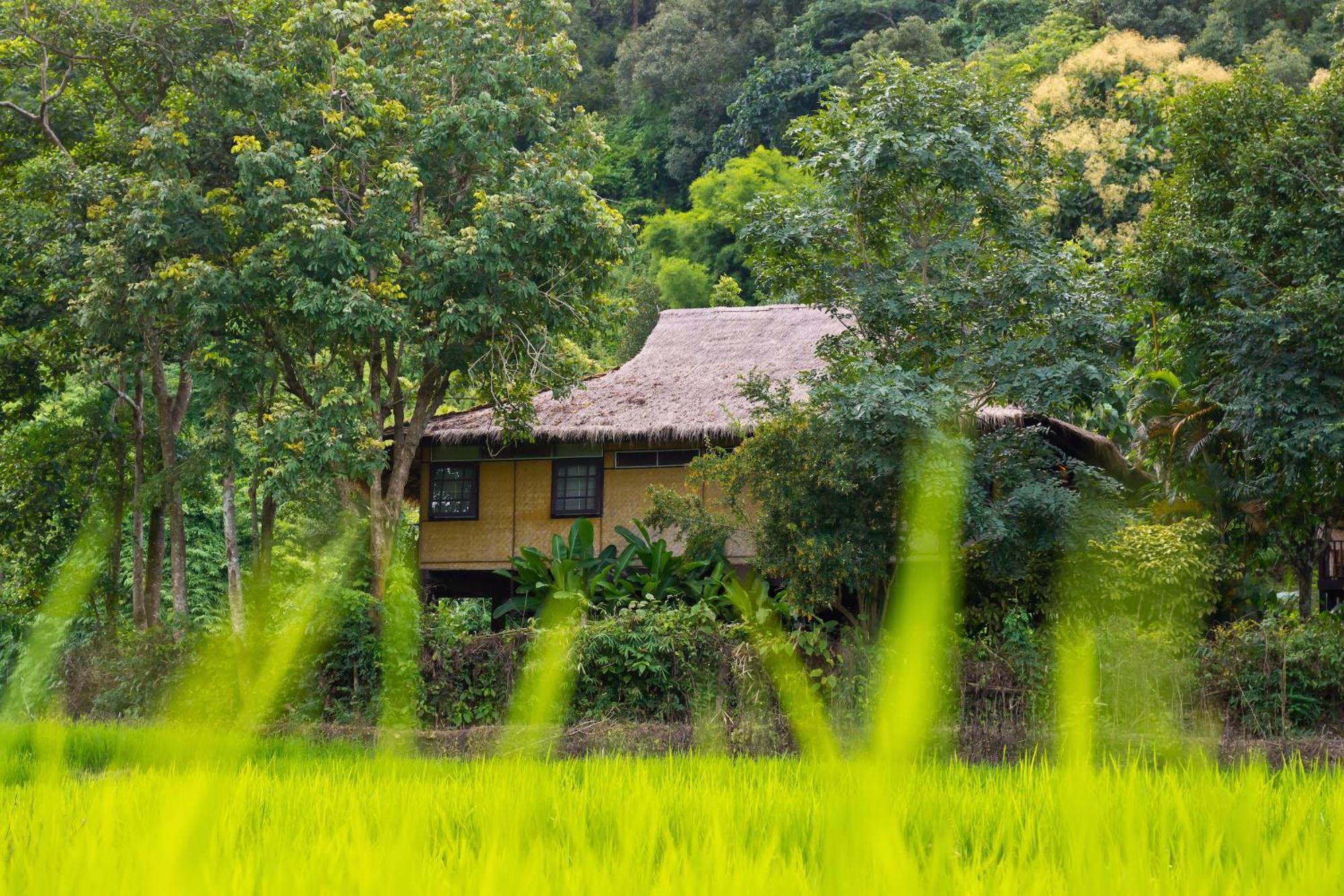 Hmong Hilltribe Lodge Mae Rim Exteriér fotografie